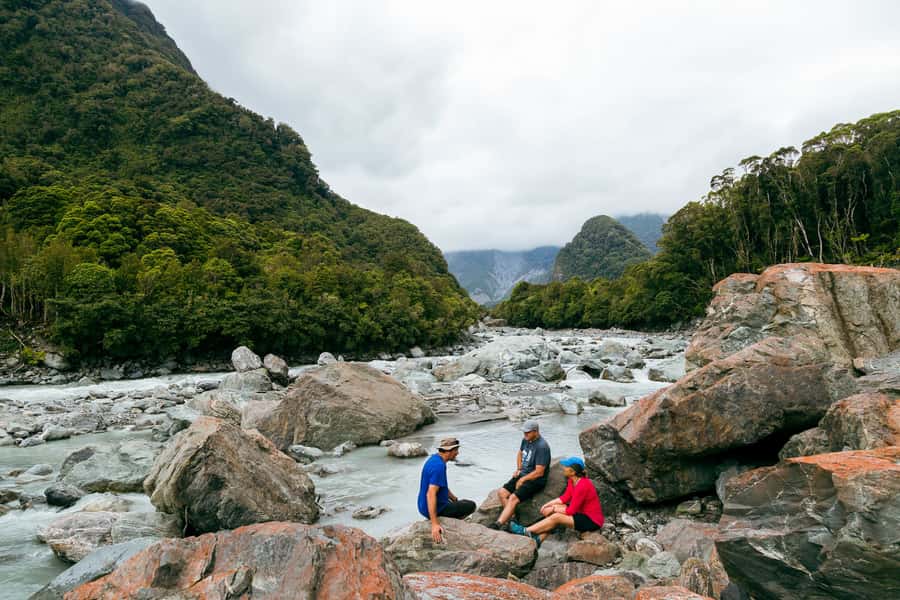 Fox Glacier: Half Day Walking & Nature Tour with Local Guide - Walking through the old glaciated rainforest