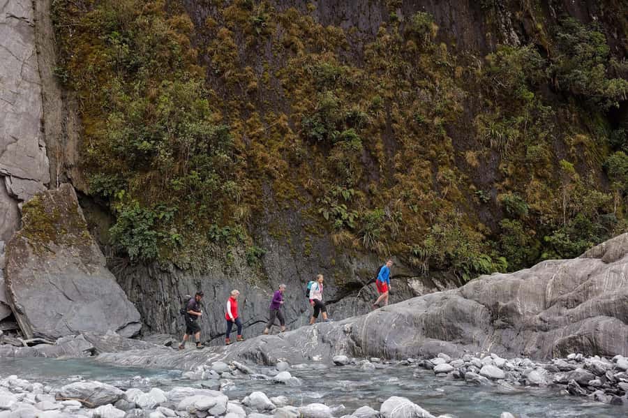 Franz Josef: Franz Josef Glacier Lookout Guided Walk - What this Franz Josef walk really offers