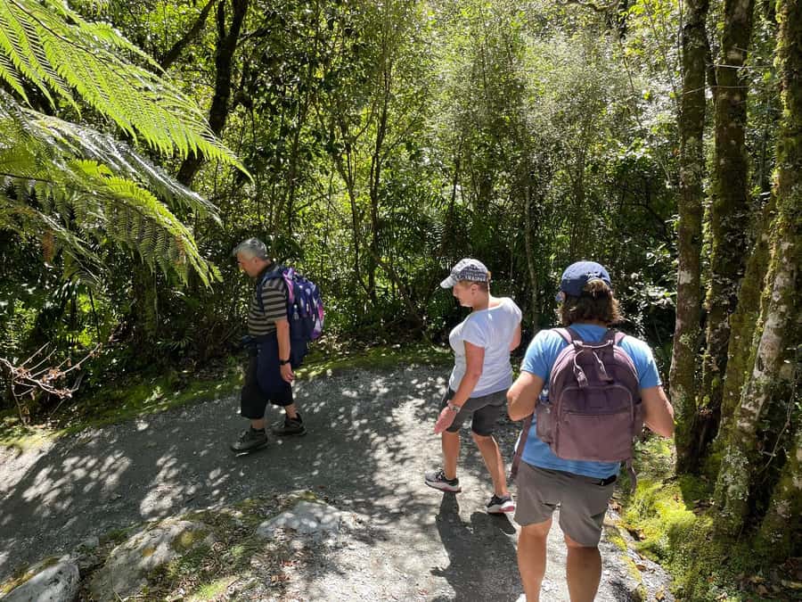 Franz Josef: Franz Josef Glacier Lookout Guided Walk - Tea, hot chocolate, and a sensible pause