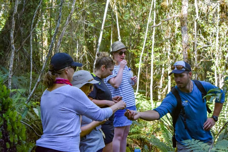 Franz Josef Glacier: 2.5-Hour Lake Mapourika Cruise and Walk - Entering the Okarito Kiwi Sanctuary
