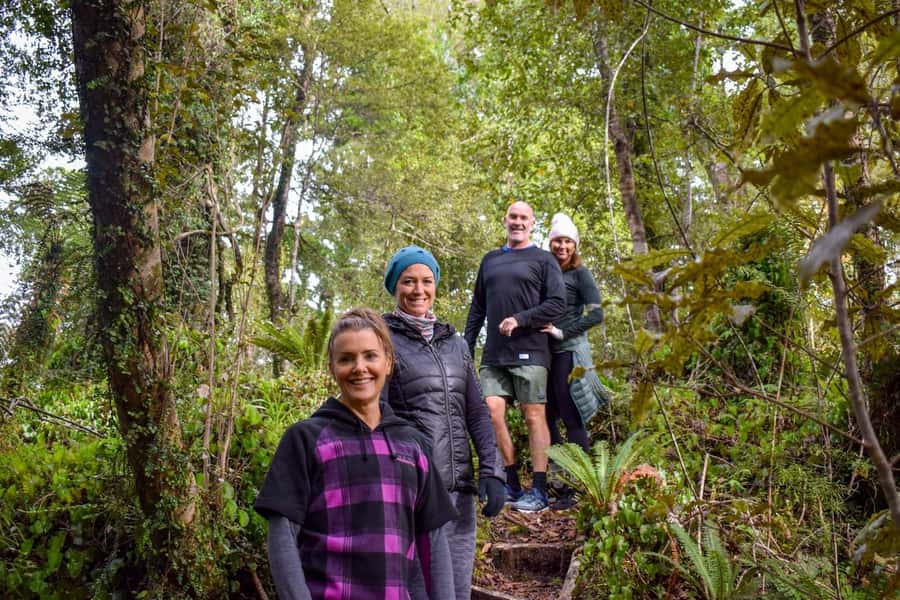 Franz Josef Glacier: 2.5-Hour Lake Mapourika Cruise and Walk - Looking closely at a Jurassic rainforest
