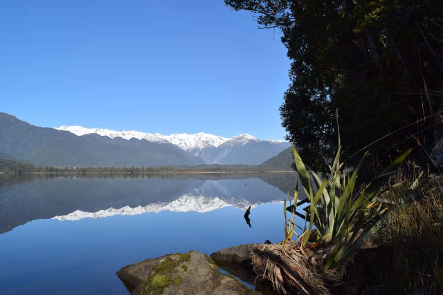 Franz Josef Glacier: 2.5-Hour Lake Mapourika Cruise and Walk - A lookout, a hot drink, and time to pause