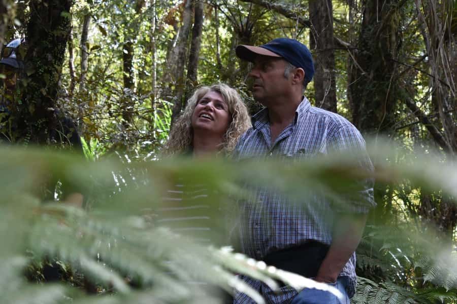 Franz Josef Glacier: 2.5-Hour Lake Mapourika Cruise and Walk - Cruising Lake Mapourika beneath the Southern Alps