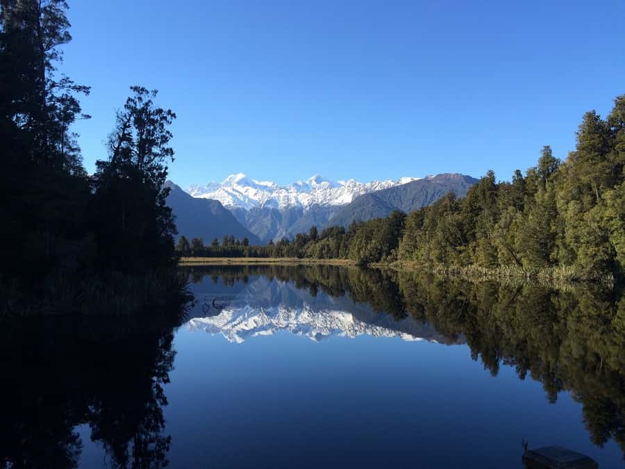 Franz Josef: Half-Day Nature Tour to Lake Matheson - A gentle track through ancient rainforest