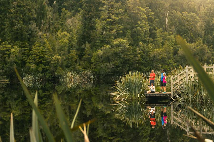 Franz Josef: Half-Day Nature Tour to Lake Matheson - Who will enjoy this tour most?