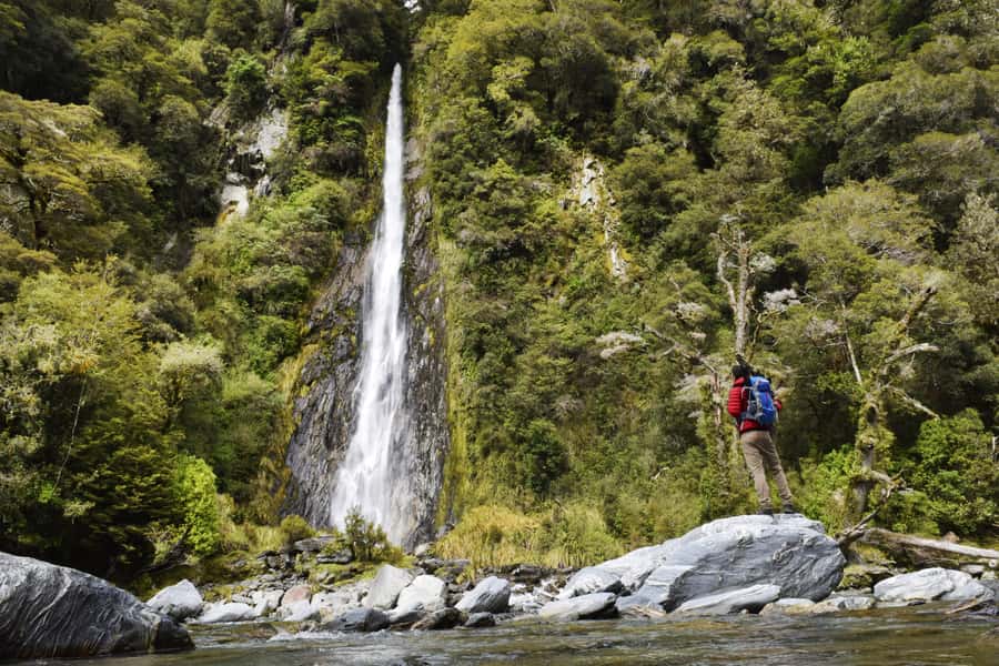 Franz Josef: to Wanaka Small Group 1 Way Tour with Lunch - Lake Matheson and the first big view