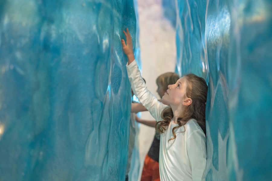 Franz Josef: West Coast Wildlife Centre Entry Ticket -48 hrs - Exhibits that connect wildlife with the glacier