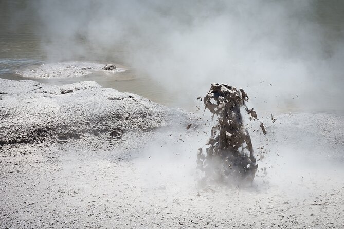 From Auckand: Waiotapu and Polynesian Spa Rotorua Day Tour - Who should choose this experience?