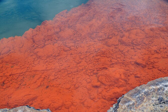 From Auckand: Waiotapu and Polynesian Spa Rotorua Day Tour - Wai-O-Tapu’s hot pools and volcanic color