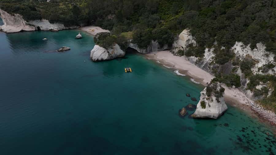 From Auckland: ALDERMAN ISLANDS (Ruamaahu) Day Trip - Key points about this Aldermen Islands trip