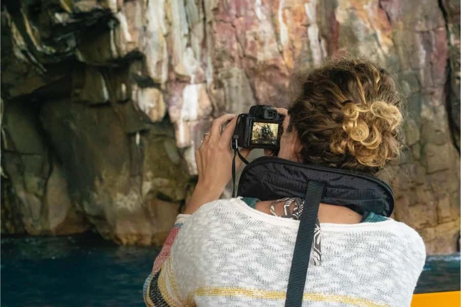 From Auckland: ALDERMAN ISLANDS (Ruamaahu) Day Trip - Wildlife watching in clear coastal water