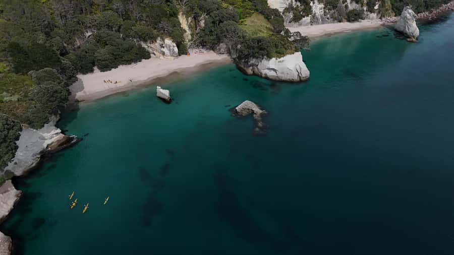 From Auckland: ALDERMAN ISLANDS (Ruamaahu) Day Trip - Should you book the Aldermen Islands day trip?