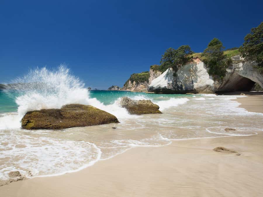 From Auckland: Cathedral Cove & Hot Water Beach Tour - Key points to know before booking
