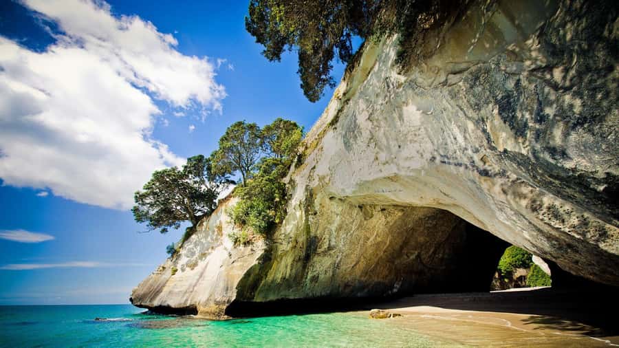 From Auckland: Cathedral Cove & Hot Water Beach Tour - Hahei gives you a useful lunch break