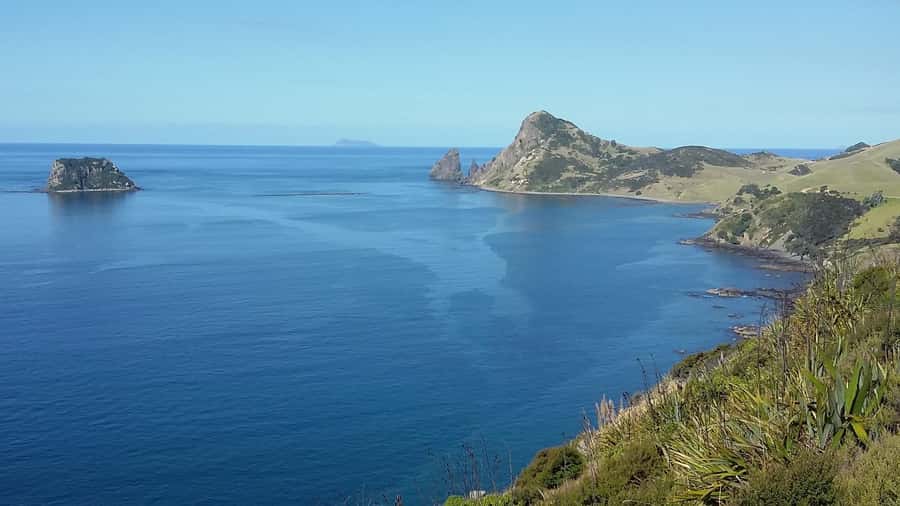 From Auckland: Cathedral Cove & Hot Water Beach Tour - Testing the sand at Hot Water Beach