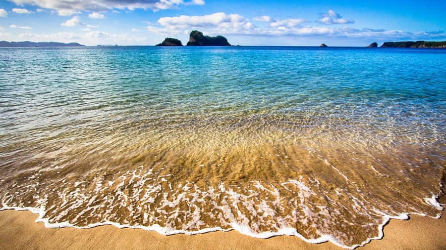 From Auckland: Cathedral Cove & Hot Water Beach Tour - Who should book this Coromandel outing?