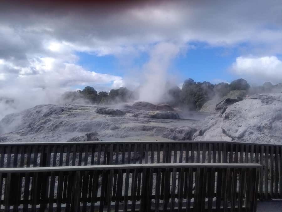 From Auckland: Day Trip to Rotorua with Optional extras - Key things to know before you book