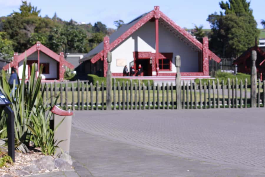 From Auckland: Day Trip to Rotorua with Optional extras - Who will enjoy this tour most