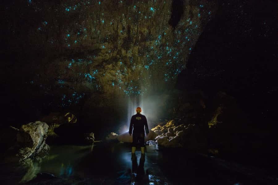 From Auckland: Day Trip to Waitomo Glow Worm Caves - What the $166 price really includes