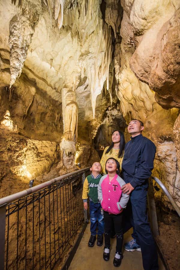 From Auckland: Day Trip to Waitomo Glow Worm Caves - Who will enjoy this tour most