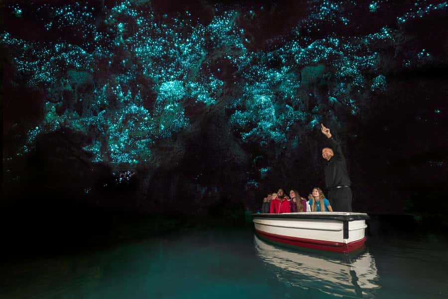 From Auckland: Day Trip to Waitomo Glow Worm Caves - Auckland CBD pickup and the southbound drive