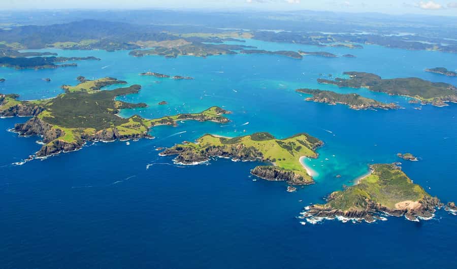 From Auckland: Full Day Private Tour to the Bay of Islands - Key points to know before booking