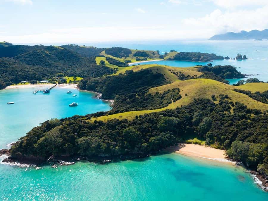 From Auckland: Full Day Private Tour to the Bay of Islands - Urupukapuka Island for a picnic and a short walk