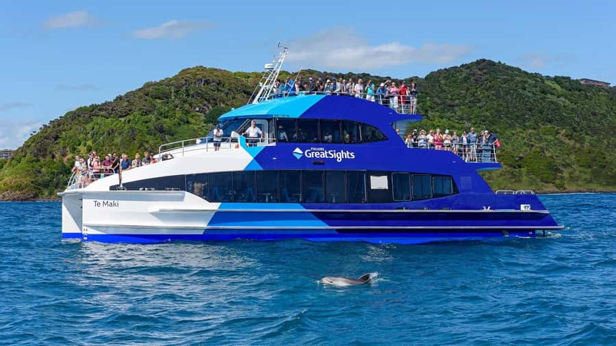 From Auckland: Full Day Private Tour to the Bay of Islands - Lunch, comfort, and what the price includes