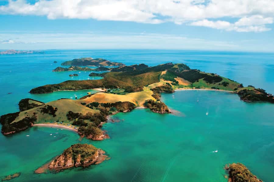 From Auckland: Full Day Private Tour to the Bay of Islands - Who should book this private Bay of Islands tour?