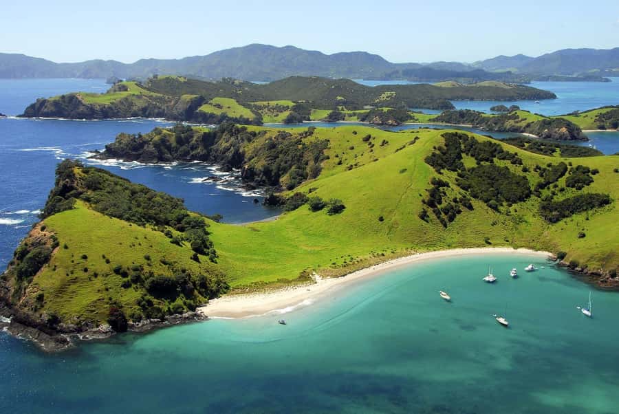 From Auckland: Full-Day Tour to the Bay of Islands - Why the Bay of Islands Makes a Good Day Trip