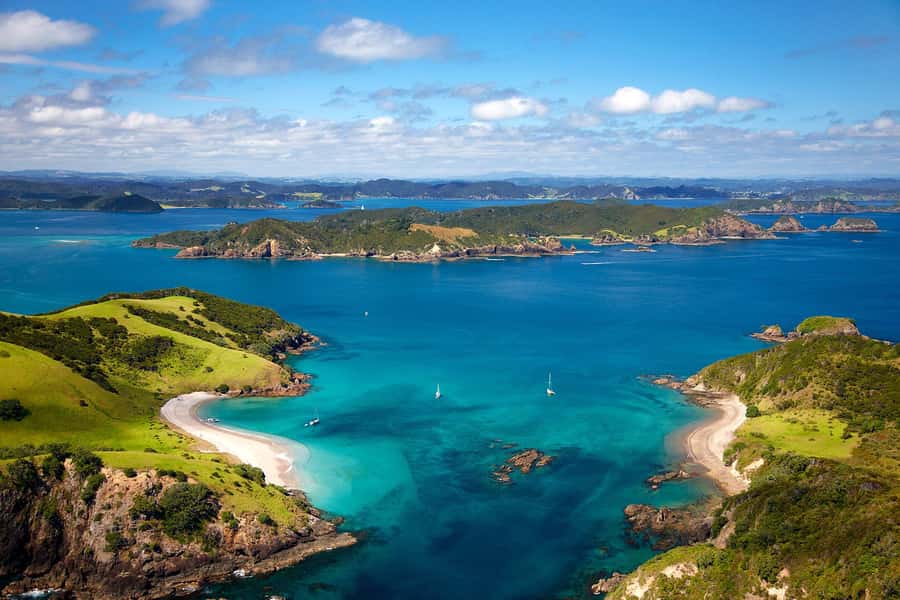 From Auckland: Full-Day Tour to the Bay of Islands - Paihia and the Start of the Catamaran Cruise