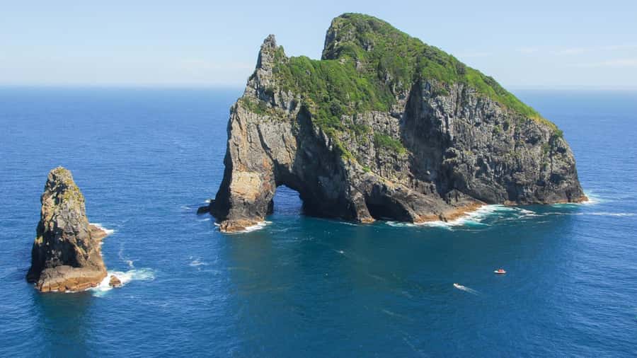 From Auckland: Full-Day Tour to the Bay of Islands - The Return to Auckland Can Test Your Stamina