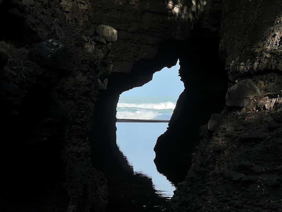 From Auckland: Guided Tour of Piha with Scenic Beach Walks - Key Points Before You Book
