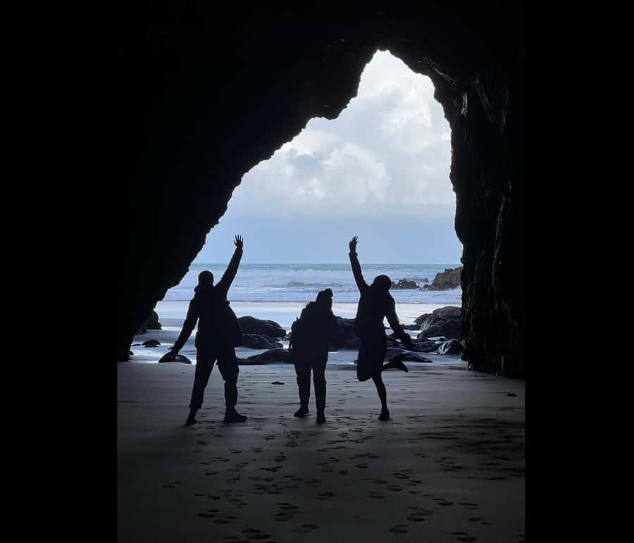 From Auckland: Guided Tour of Piha with Scenic Beach Walks - What the Experience Is Worth