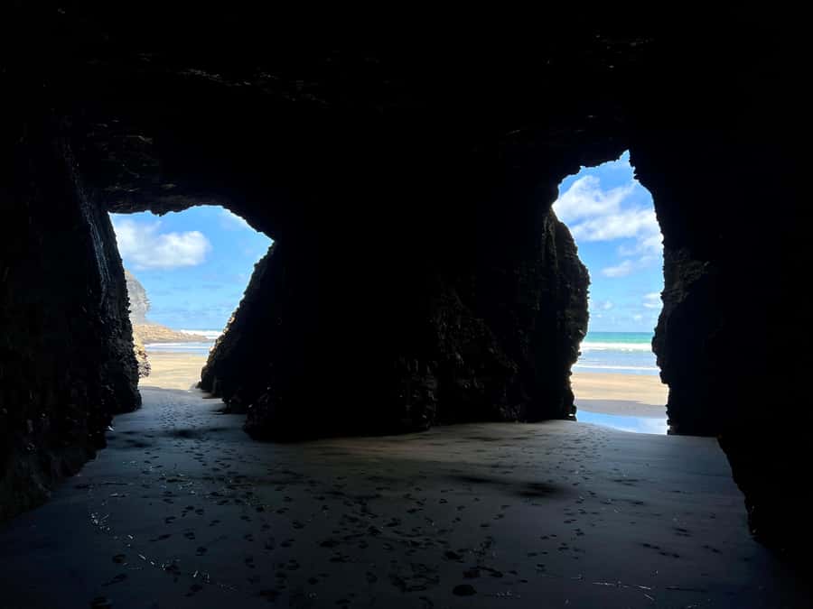 From Auckland: Guided Tour of Piha with Scenic Beach Walks - The Café Break and Picnic Supplies