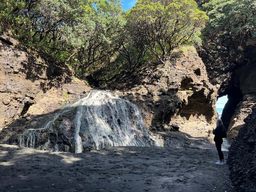 From Auckland: Guided Tour of Piha with Scenic Beach Walks - North Piha: Forest, Birds, and Beach