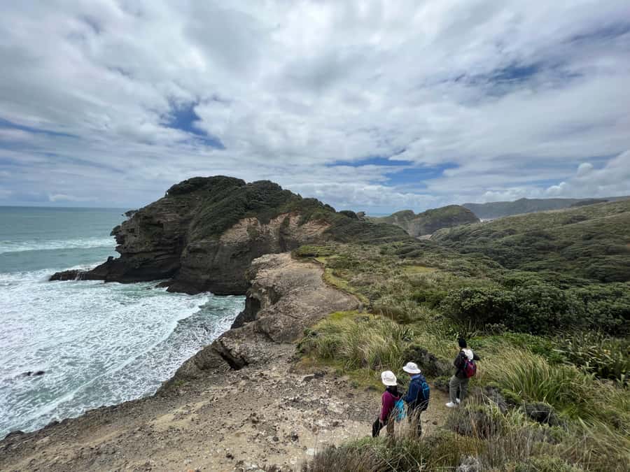 From Auckland: Guided Tour of Piha with Scenic Beach Walks - How Difficult Is the Walking?