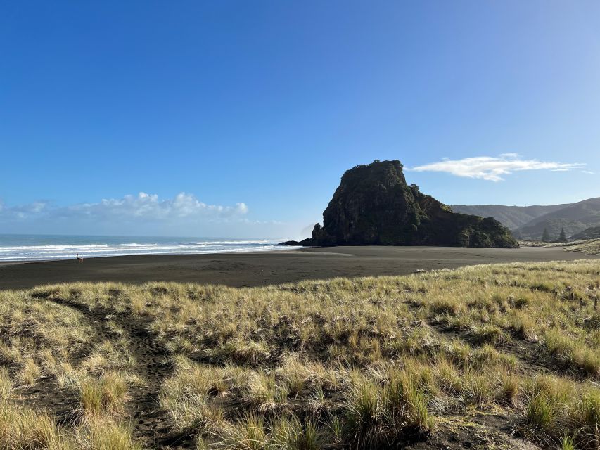 From Auckland: Guided Tour of Piha with Scenic Beach Walks - Transport, Group Size, and Pace