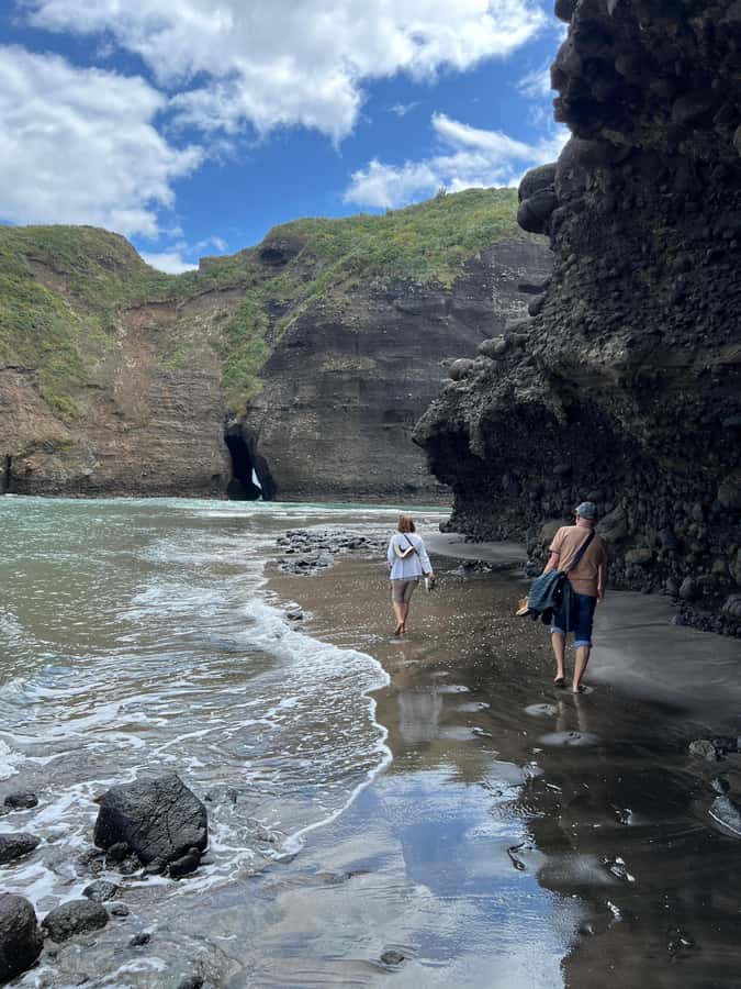 From Auckland: Guided Tour of Piha with Scenic Beach Walks - Meeting at Auckland’s Viaduct Basin