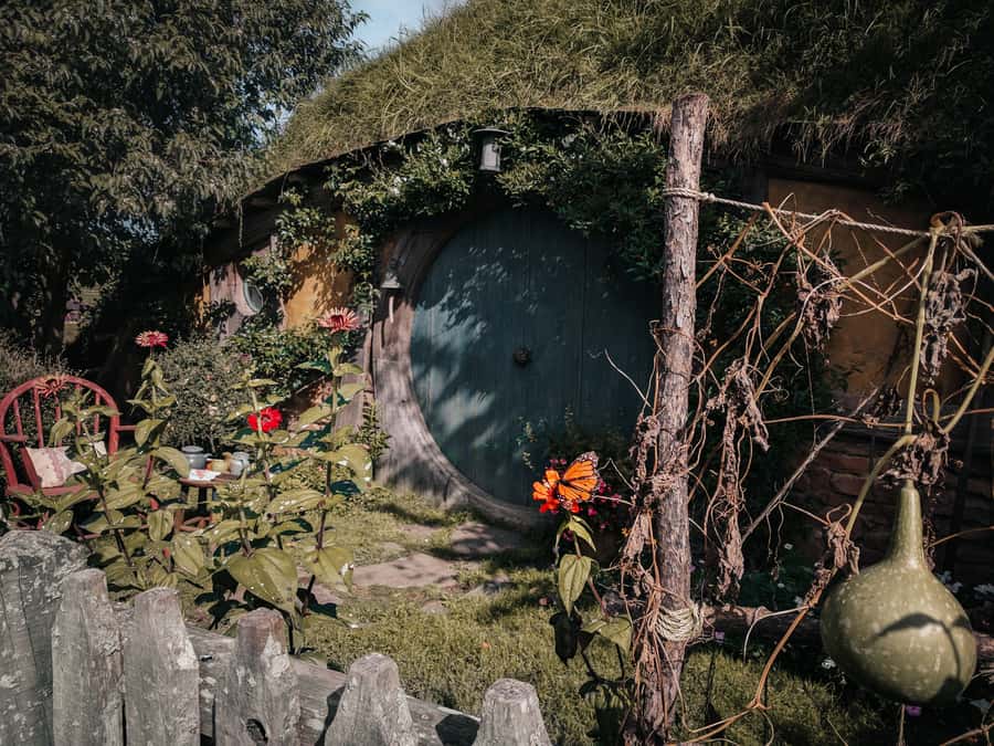 From Auckland: Hobbiton Afternoon Tour - What the premium minibus changes