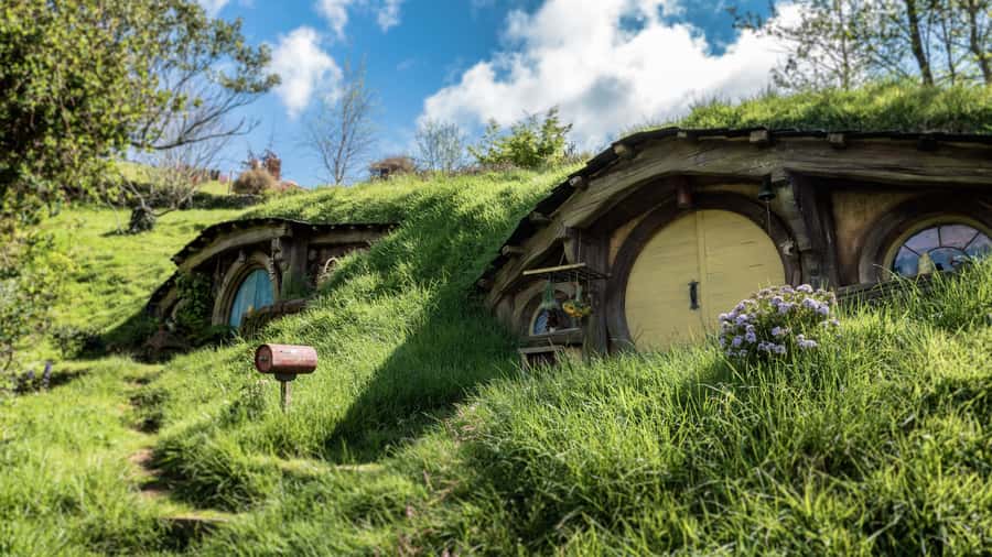 From Auckland: Hobbiton Afternoon Tour - From Auckland to the Waikato farms