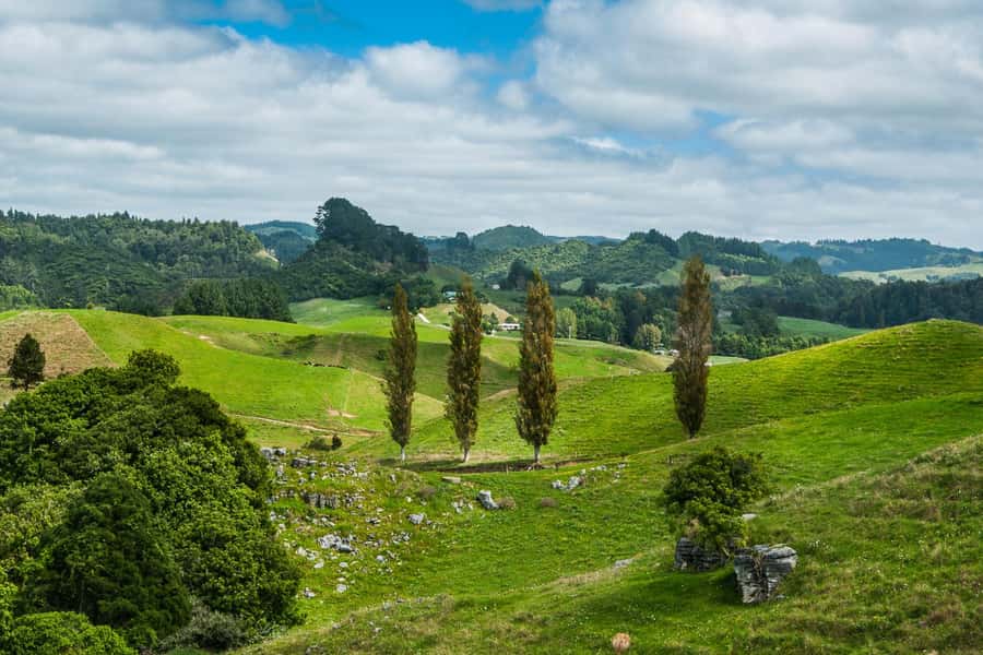 From Auckland: Hobbiton and Waitomo Day Tour with Lunch - Key details at a glance