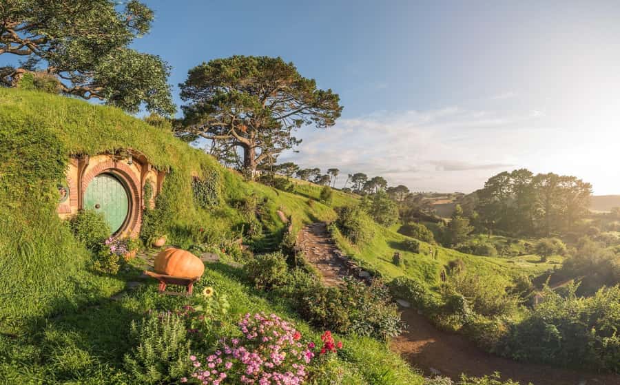 From Auckland: Hobbiton Movie Set Day Tour with Picnic Lunch - Key points to know before booking