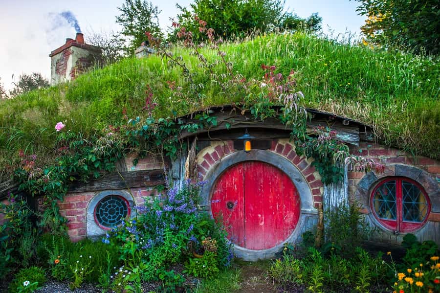 From Auckland: Hobbiton Movie Set Full-Day Small-Group Trip - What $170 gets you