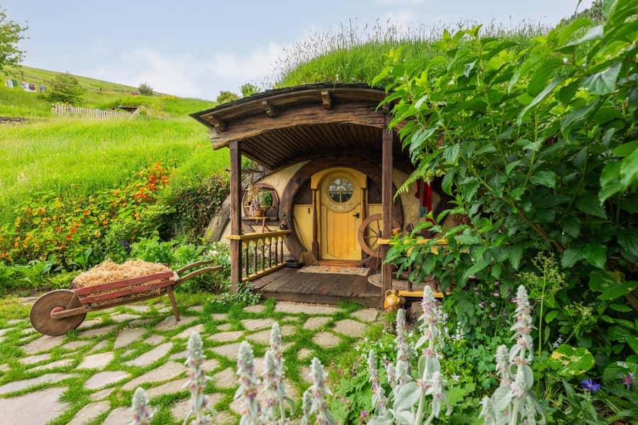 From Auckland: Hobbiton Movie Set Small Group Tour - Shire’s Rest and the Alexander Family Sheep Farm