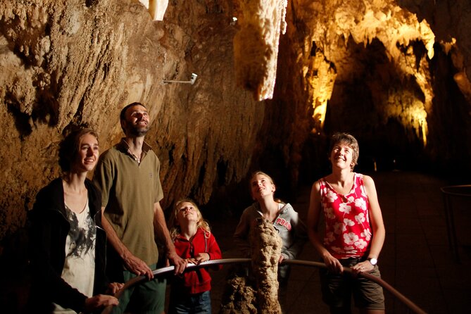 From Auckland:Hobbiton Movie Set & Waitomo Caves Small Group Tour - Leaving Auckland for the Waikato