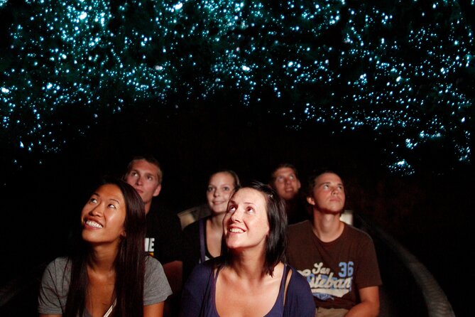 From Auckland:Hobbiton Movie Set & Waitomo Caves Small Group Tour - Walking among 44 hobbit holes