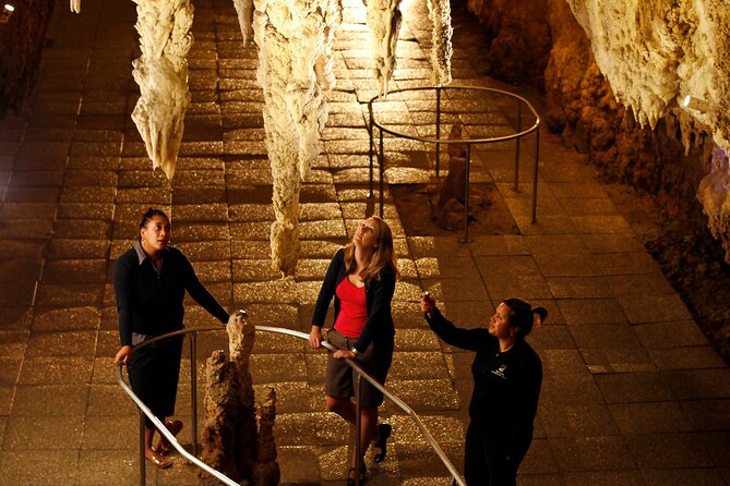 From Auckland:Hobbiton Movie Set & Waitomo Caves Small Group Tour - The return to Auckland