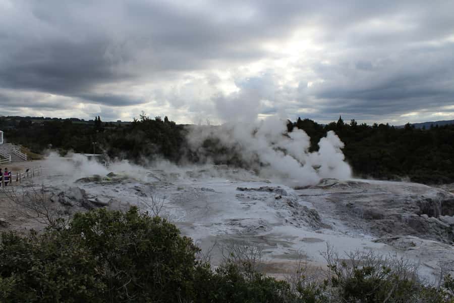 From Auckland: Hobbiton & Rotorua Tour with Lunch at Te Puia - Final verdict: a strong value for a packed North Island day