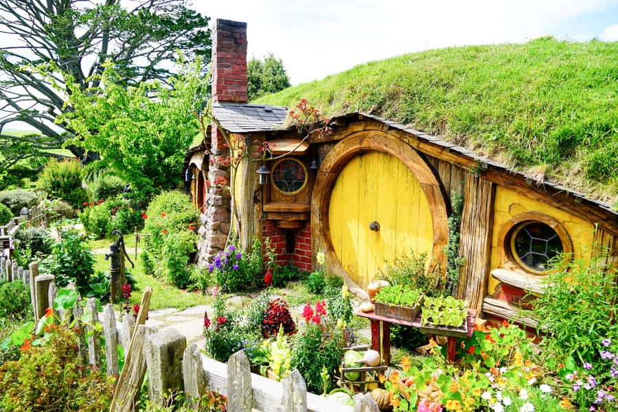 From Auckland: Hobbiton & Rotorua Tour with Lunch at Te Puia - Why this Auckland day trip works